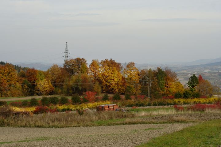 spis.php?category_id=306