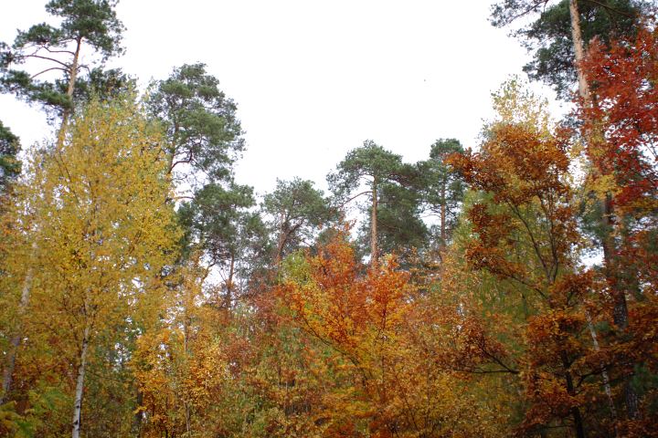 spis.php?category_id=306