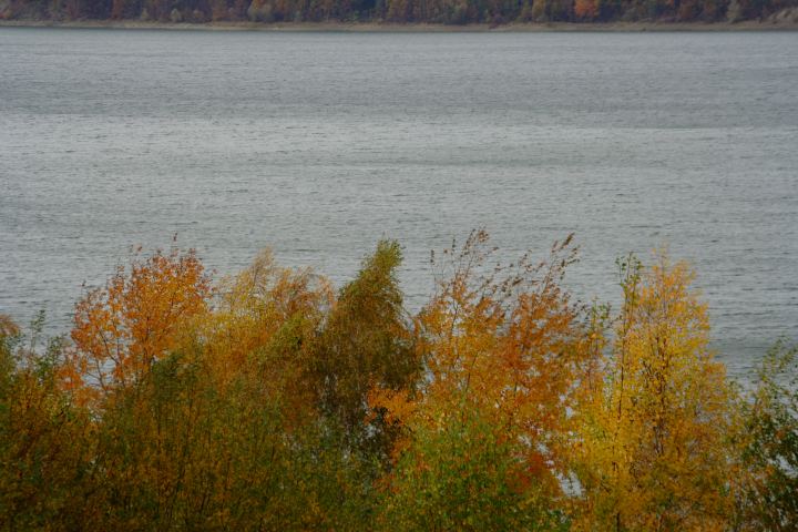 spis.php?category_id=306