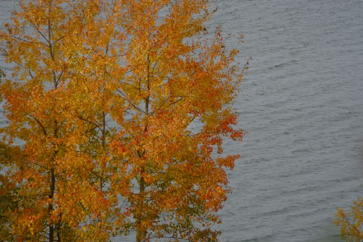 spis.php?category_id=306