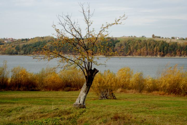 spis.php?category_id=306