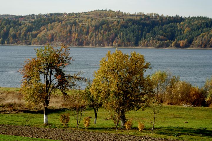 spis.php?category_id=306