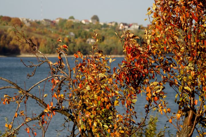 spis.php?category_id=306