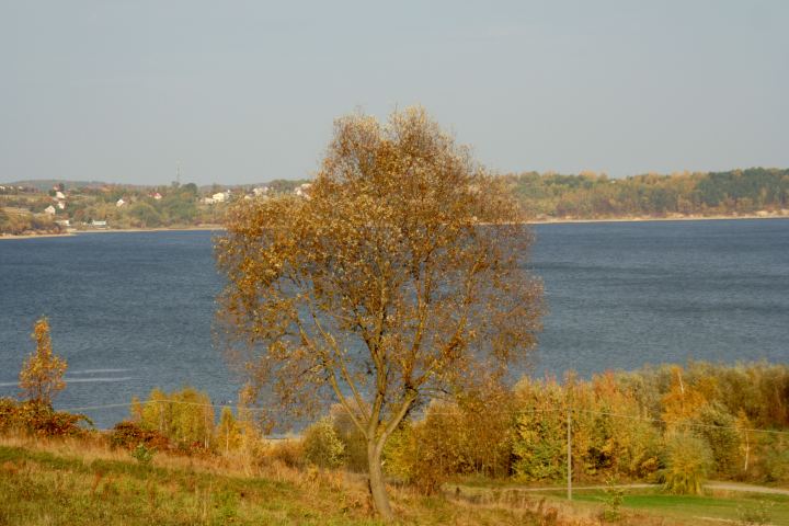 spis.php?category_id=306