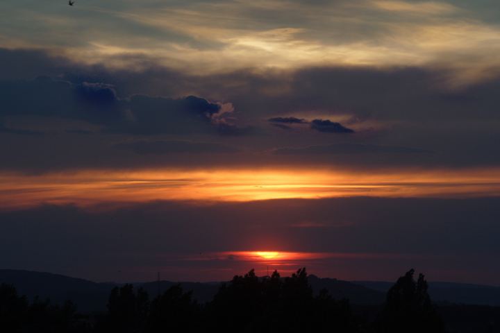 spis.php?category_id=309