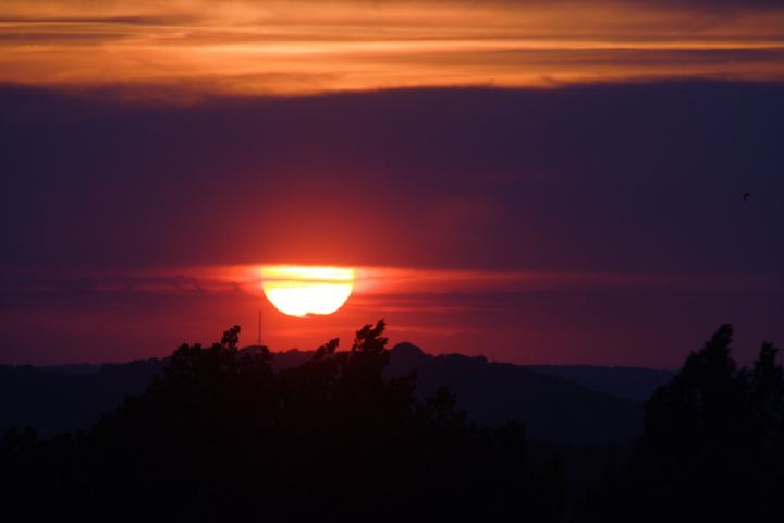 spis.php?category_id=309