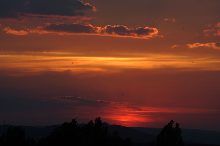 spis.php?category_id=309