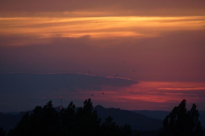 spis.php?category_id=309