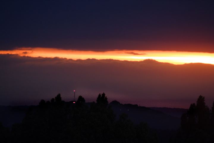 spis.php?category_id=309