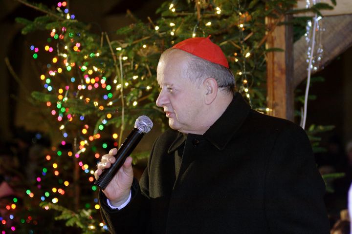 spis.php?category_id=311