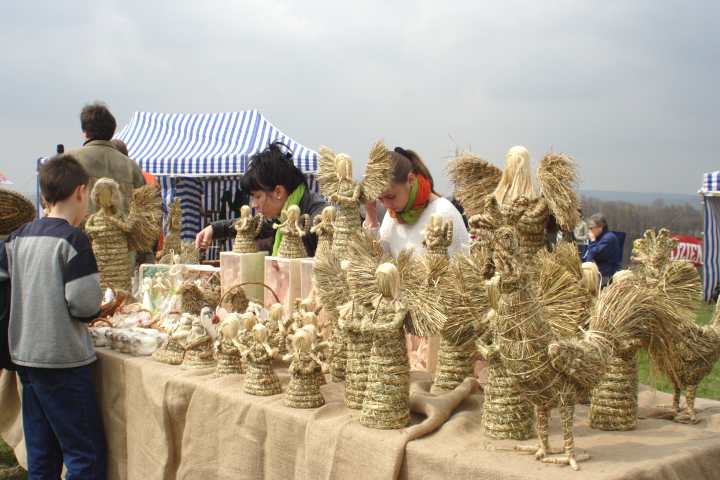 spis.php?category_id=313