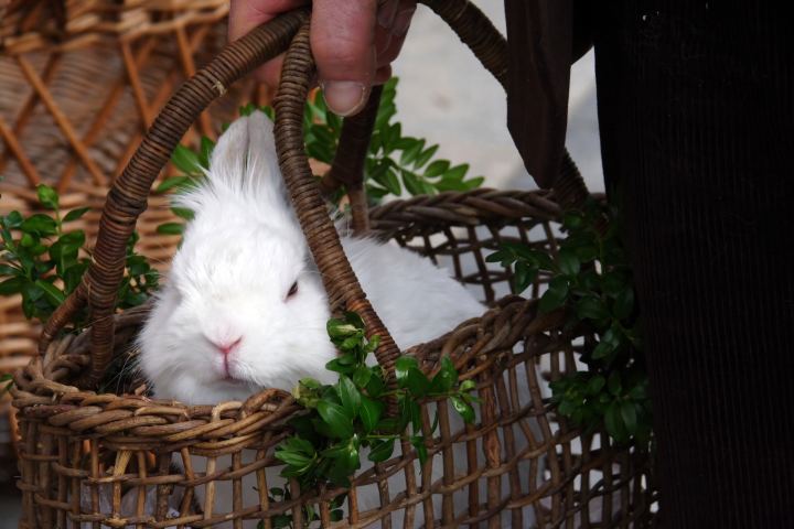 spis.php?category_id=320