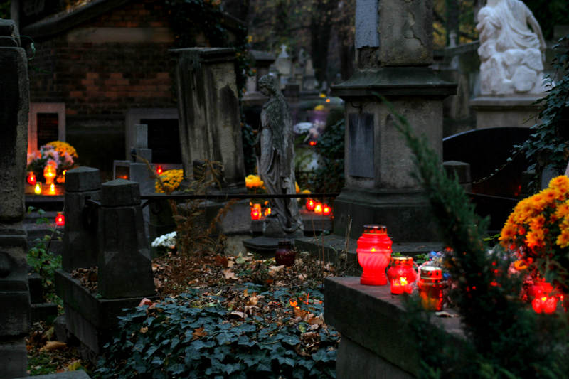 spis.php?category_id=321