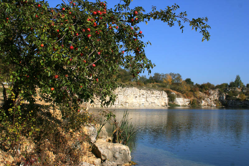 spis.php?category_id=322