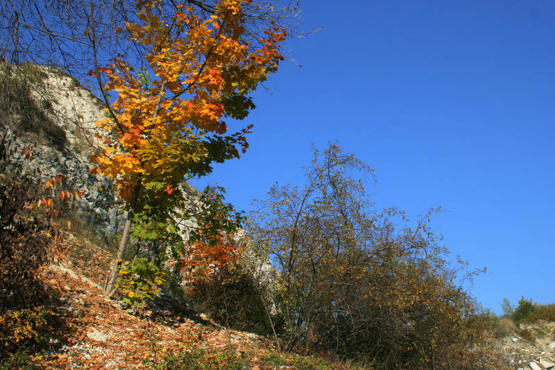 spis.php?category_id=322