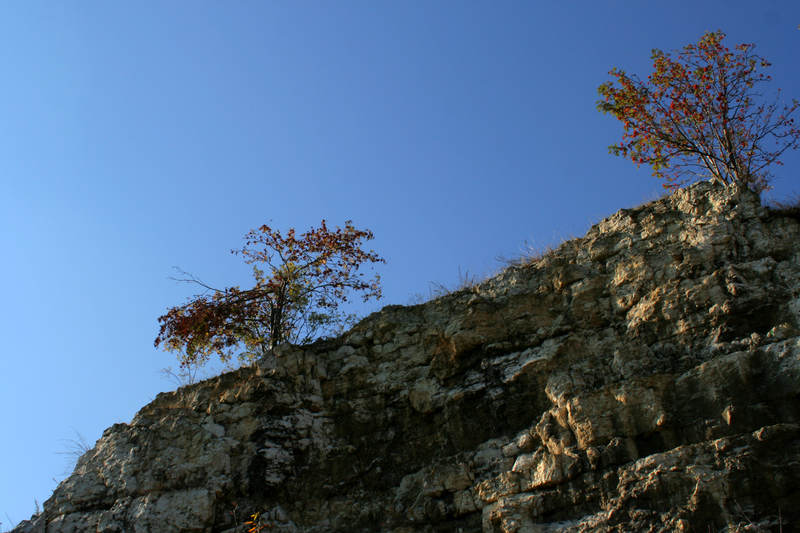 spis.php?category_id=322