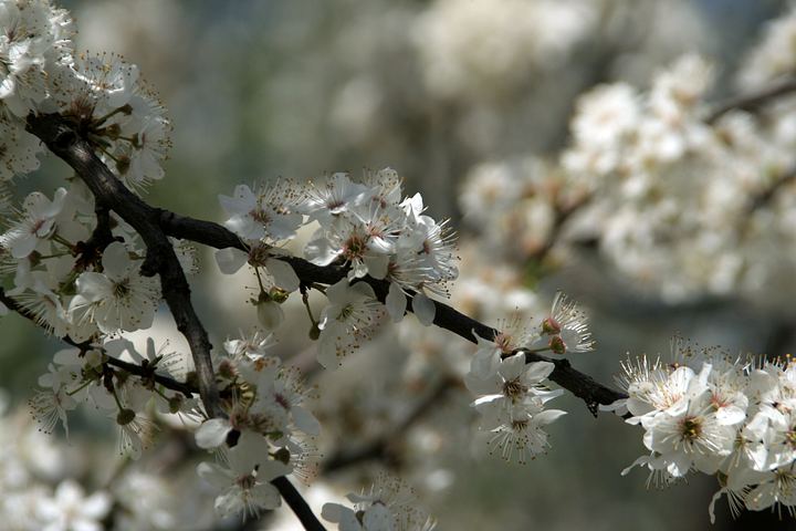 spis.php?category_id=325