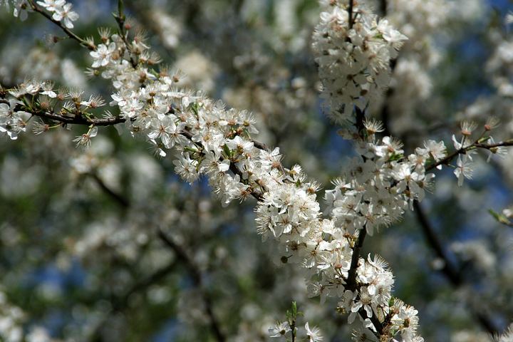 spis.php?category_id=325