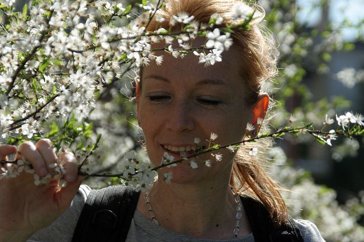 spis.php?category_id=325