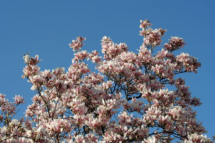 spis.php?category_id=325