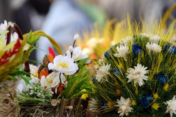 spis.php?category_id=327