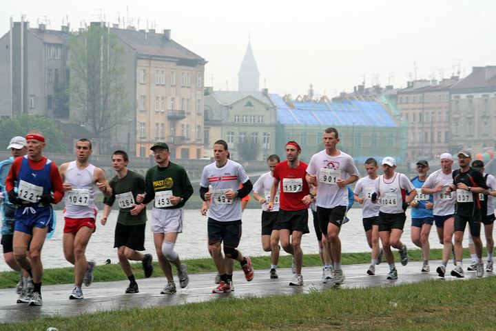 spis.php?category_id=338