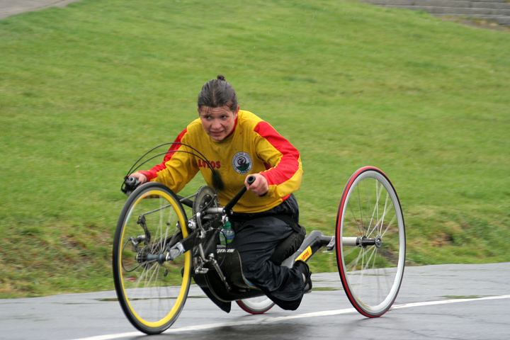 spis.php?category_id=338