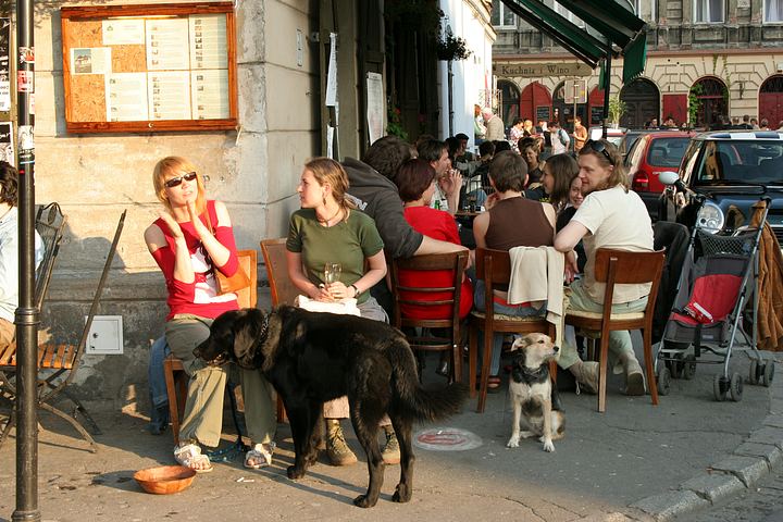 spis.php?category_id=342