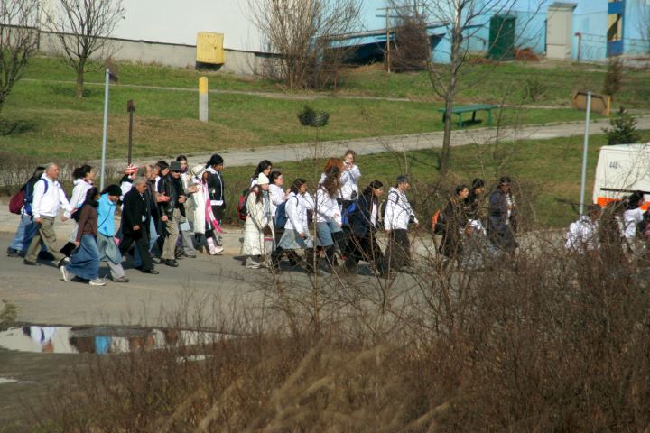 spis.php?category_id=346