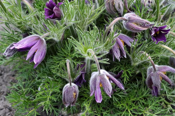 spis.php?category_id=350