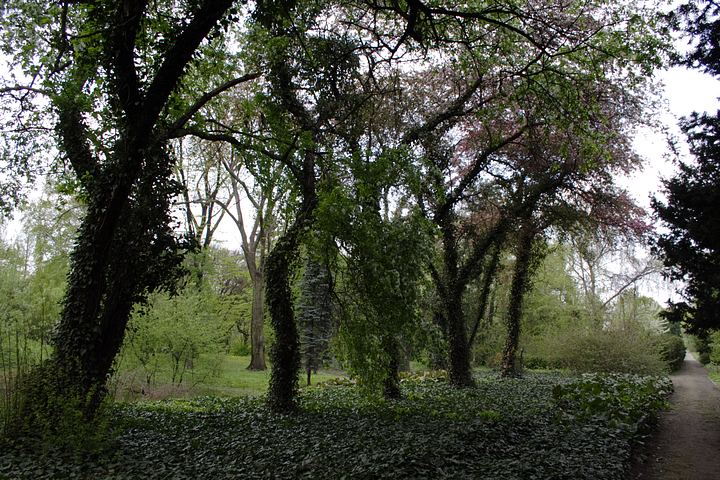 spis.php?category_id=350