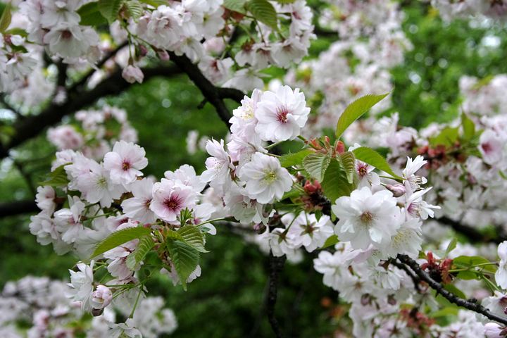 spis.php?category_id=350