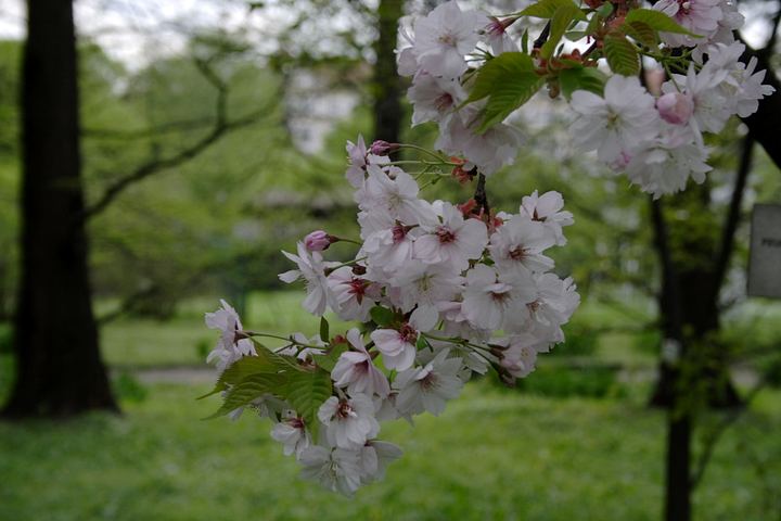 spis.php?category_id=350