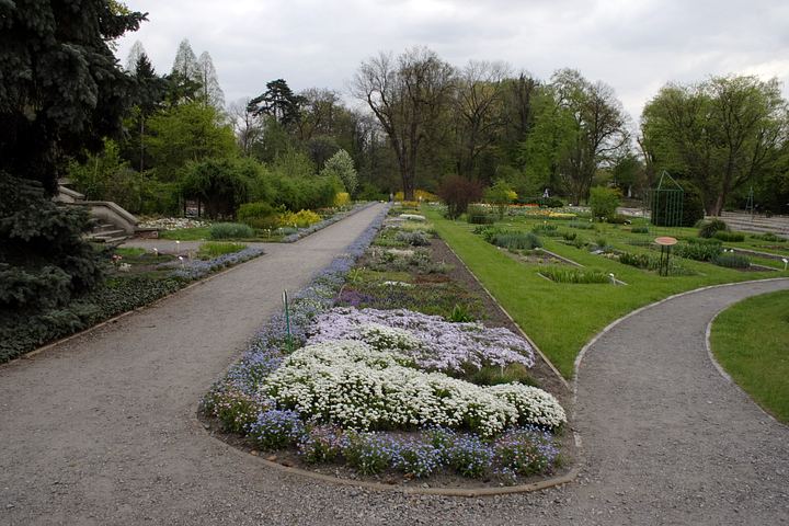 spis.php?category_id=350