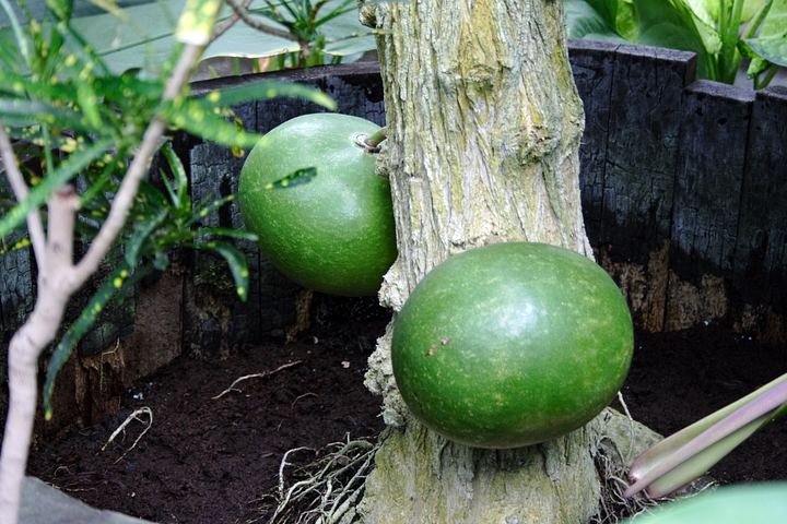 spis.php?category_id=350