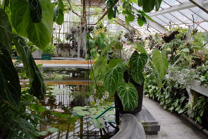 spis.php?category_id=350