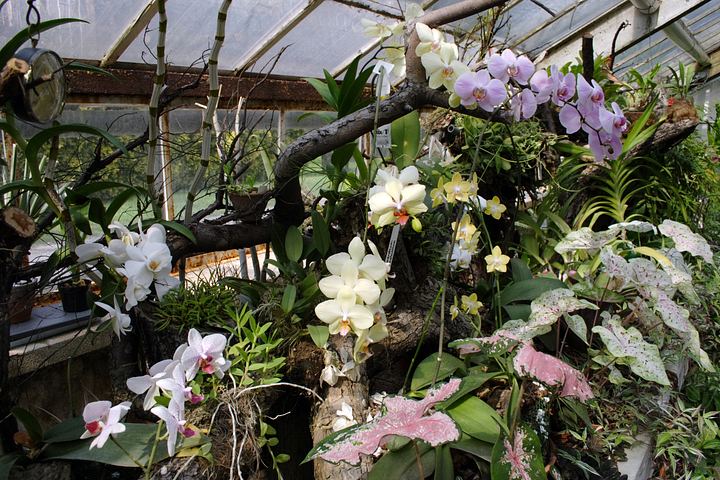 spis.php?category_id=350