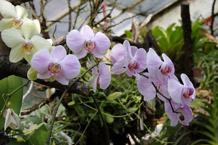 spis.php?category_id=350