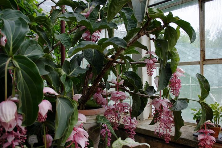 spis.php?category_id=350