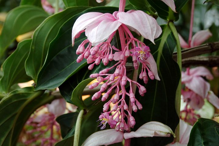 spis.php?category_id=350