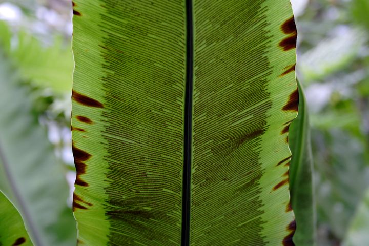 spis.php?category_id=350