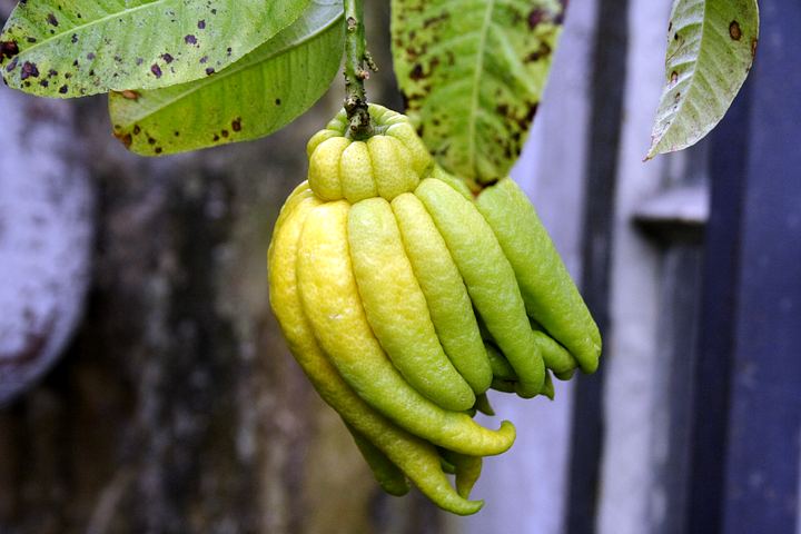 spis.php?category_id=350