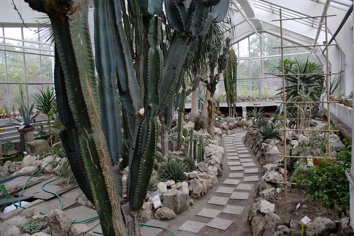 spis.php?category_id=350