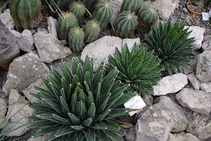 spis.php?category_id=350