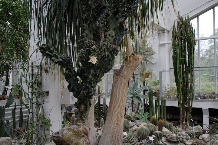 spis.php?category_id=350