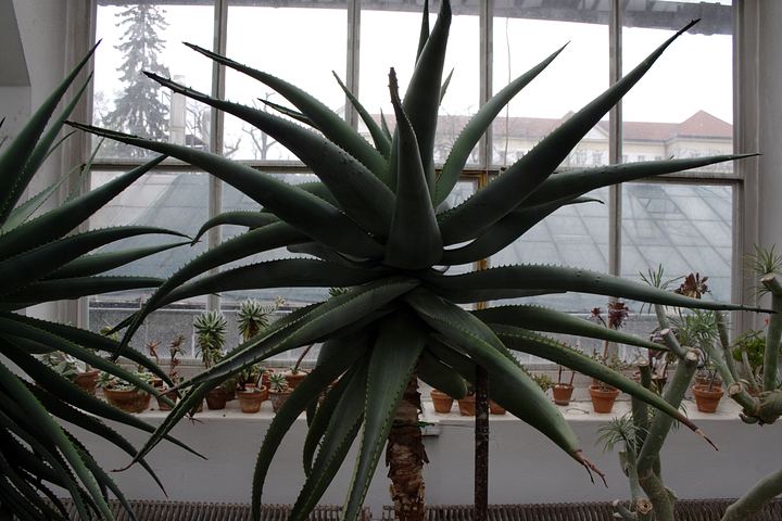 spis.php?category_id=350