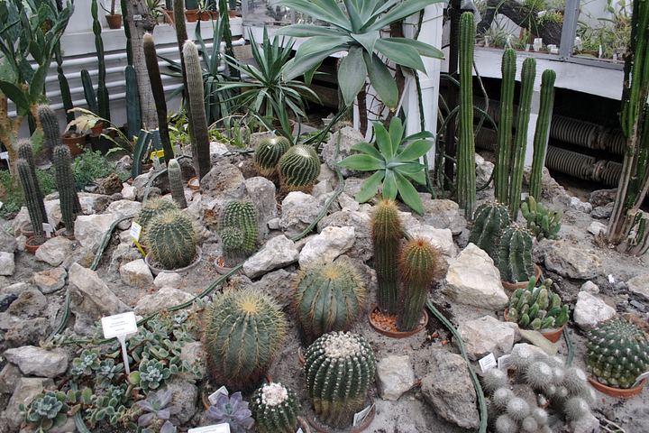 spis.php?category_id=350