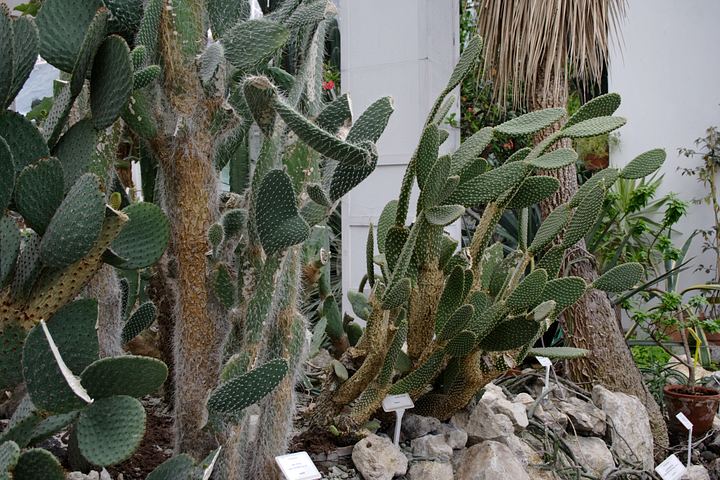 spis.php?category_id=350