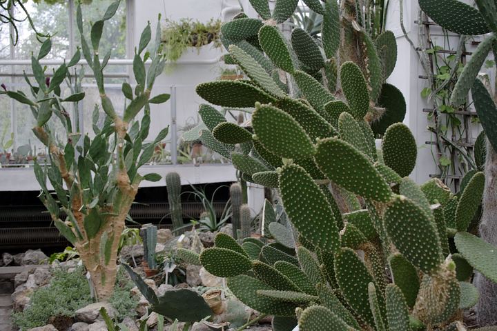 spis.php?category_id=350