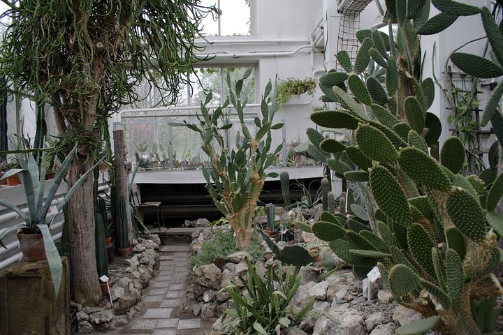 spis.php?category_id=350